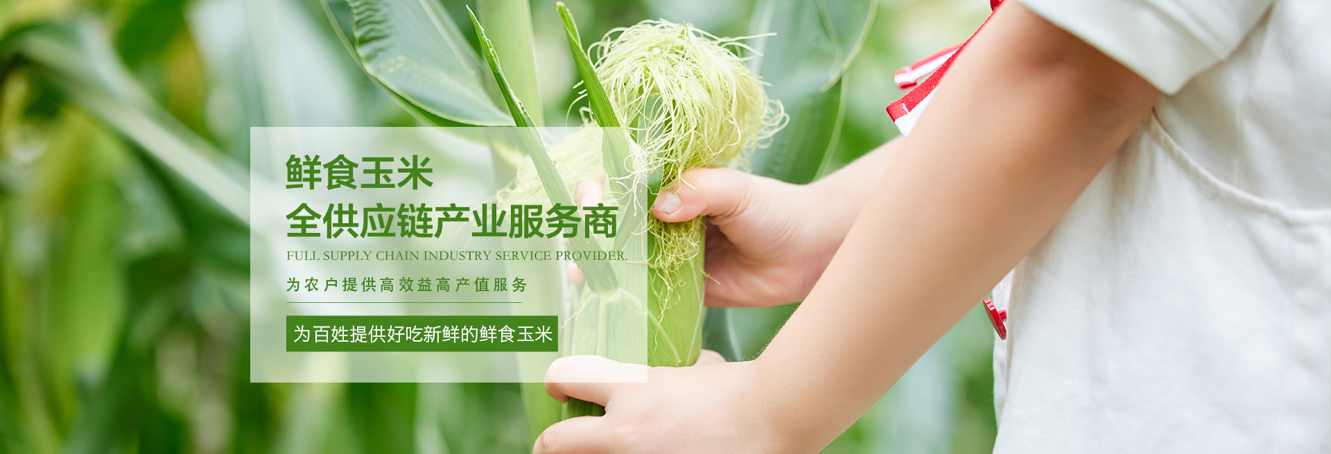m6米乐官网app登录
